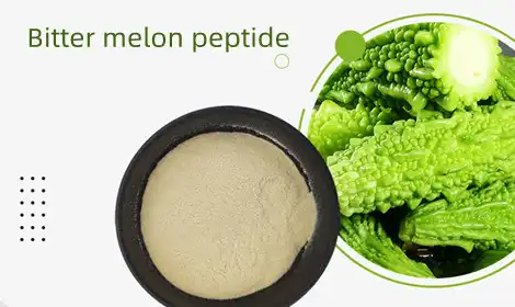 Does Bitter Melon Peptide Help with Weight Loss?